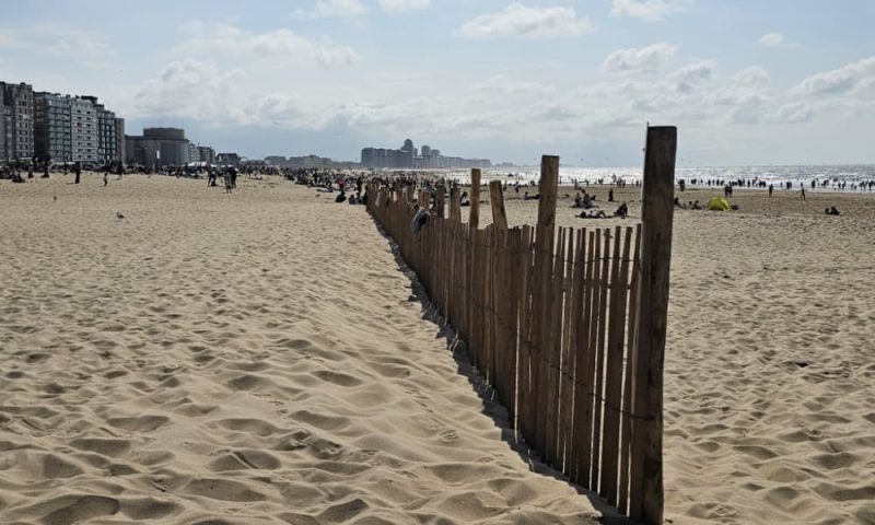 Ozean Meer Urlaub Kollektion