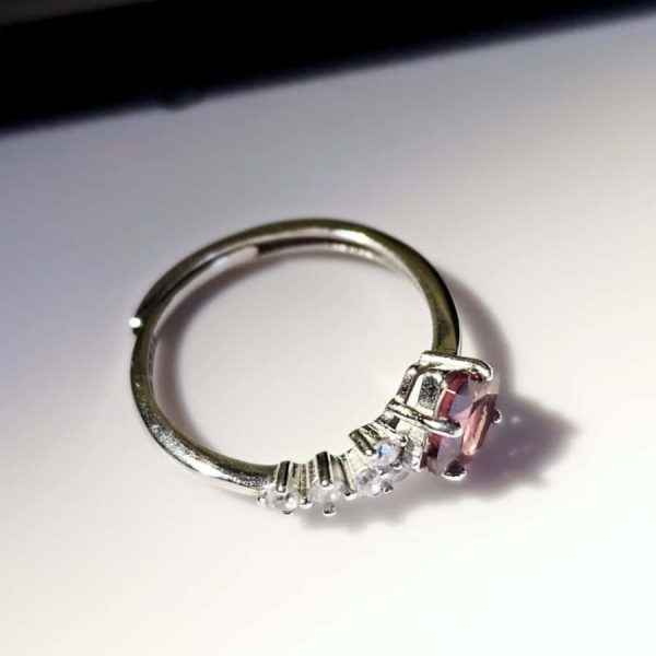 Silberring mit natürlichem rotem Garnet und Zirkonia-Akzentsteinen